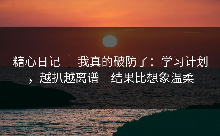 糖心日记 ｜ 我真的破防了：学习计划，越扒越离谱｜结果比想象温柔